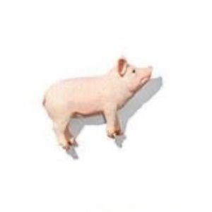 Lovevery Replacement Pig from the Montessori Animal Match Sorting Game